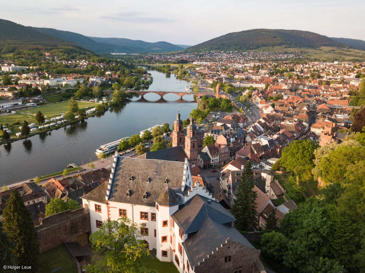 Miltenberg, Spessart-Mainland, Franconia, Bavaria, Germany