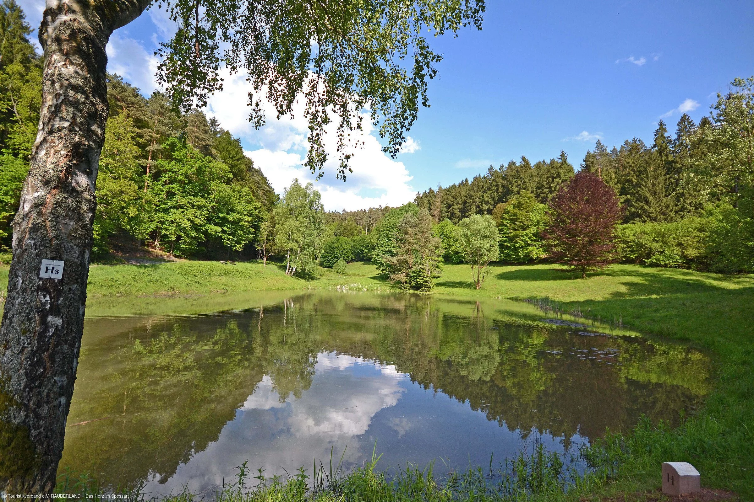 Bild: Waldsee bei Heimbuchenthal