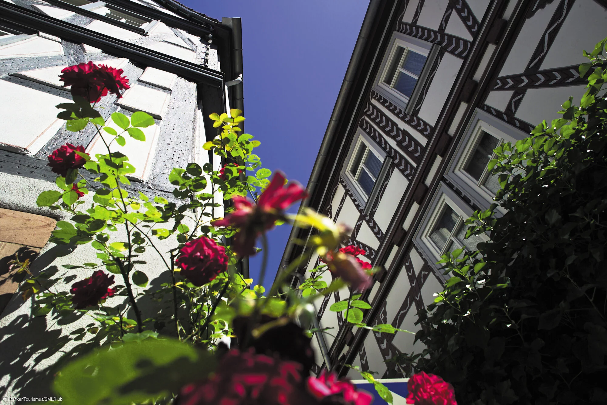 Klingenberg, Fachwerkhäuser
