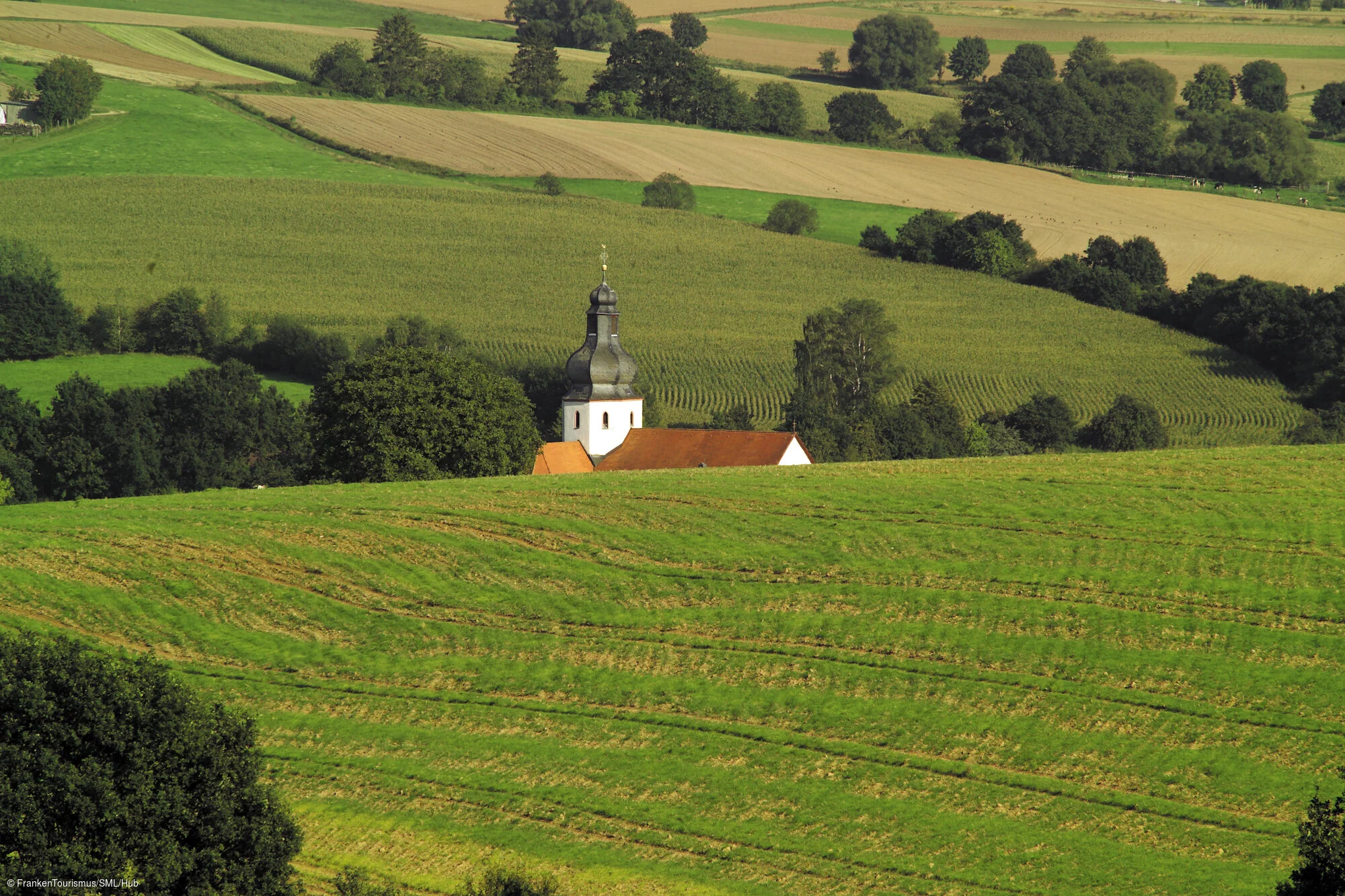 Landschaft bei Schöllkrippen