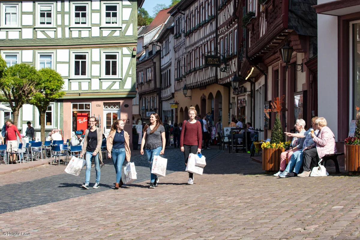 Miltenberg, Spessart-Mainland, Franconia, Bavaria, Germany