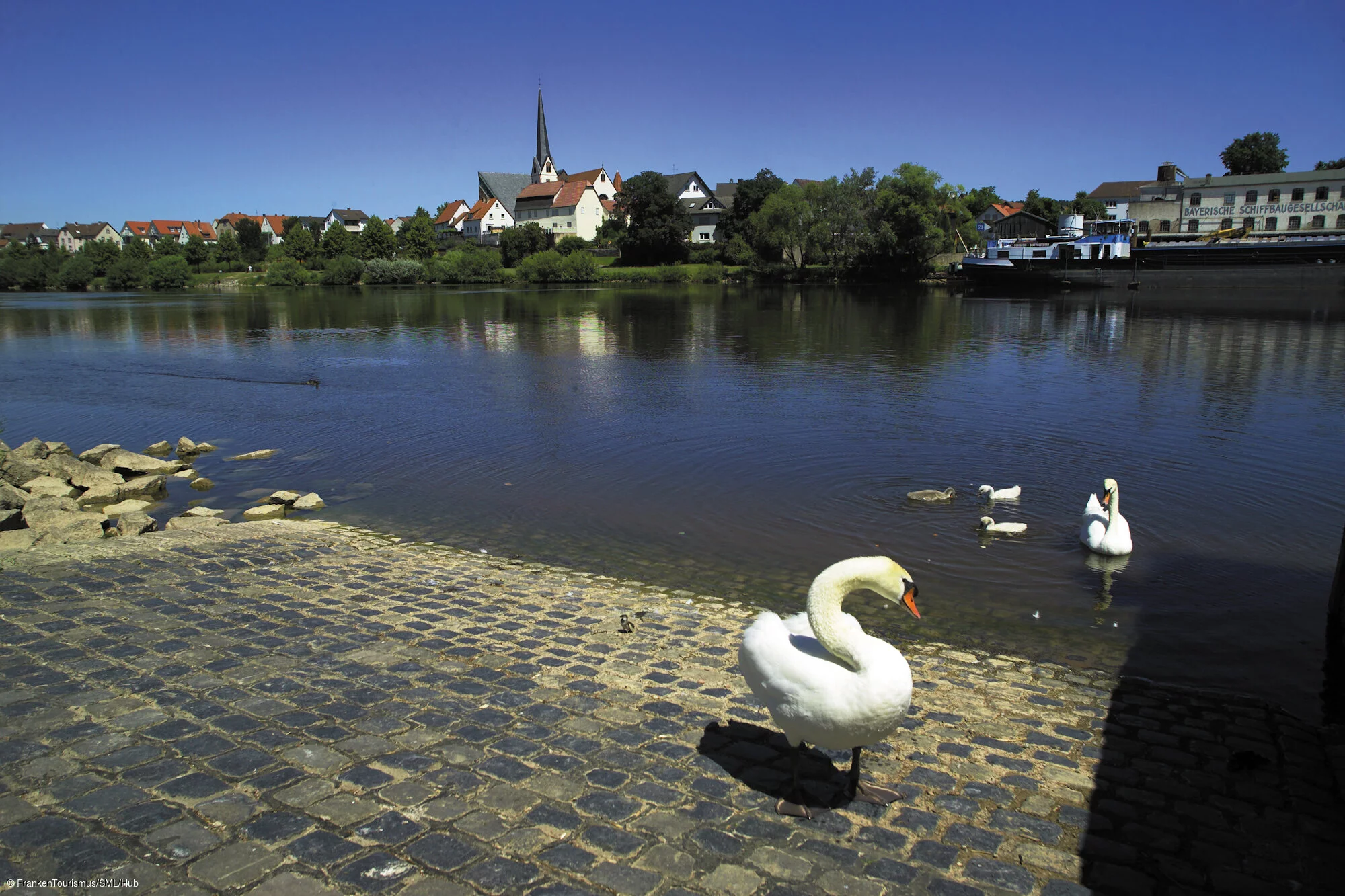 Blick auf Erlenbach und Main