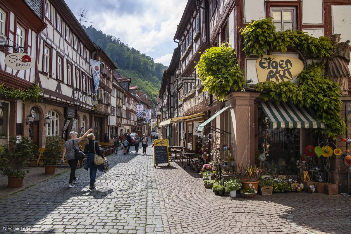 Miltenberg, Spessart-Mainland, Franconia, Bavaria, Germany