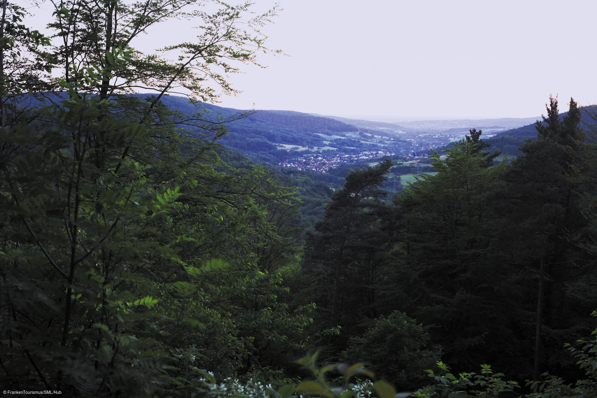 Abendstimmung im Spessart
