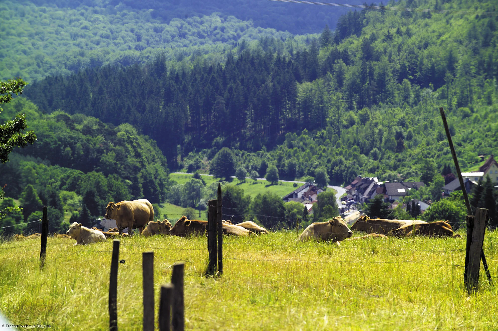 Landschaftsbilder um Weibersbrunn