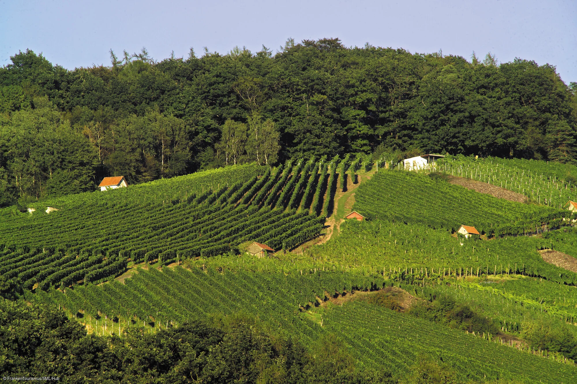 Weinlage Alzenau, OT Michelbach