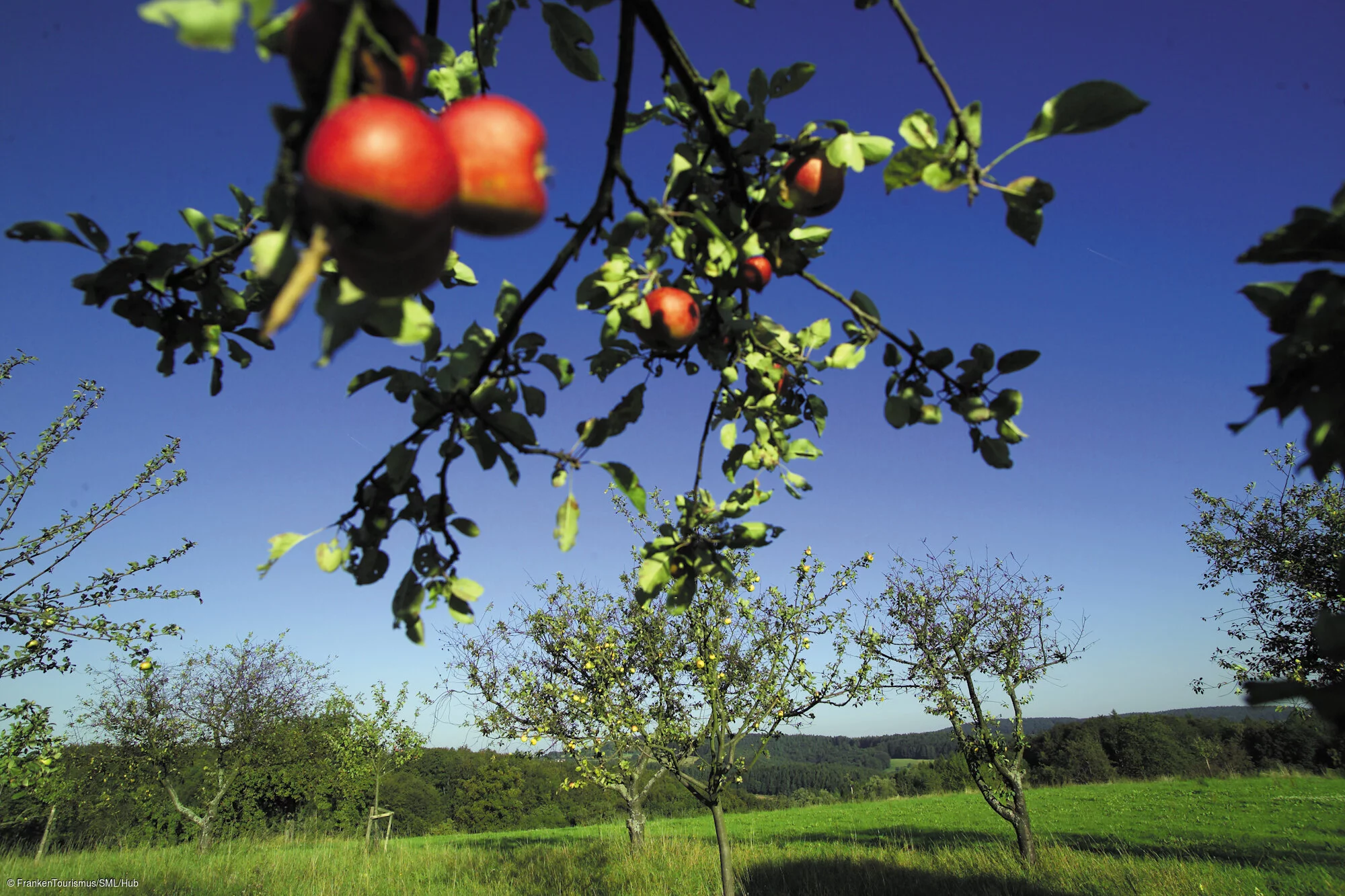 Landschaft bei Johannesberg (Mühlberg)