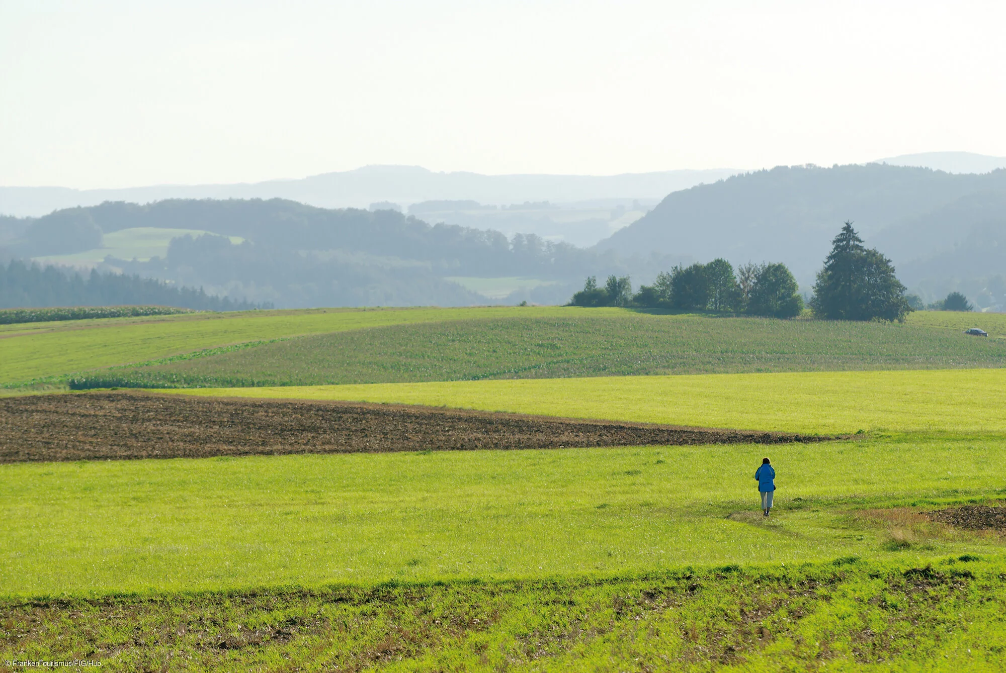 Landschaft nahe Hallerstein