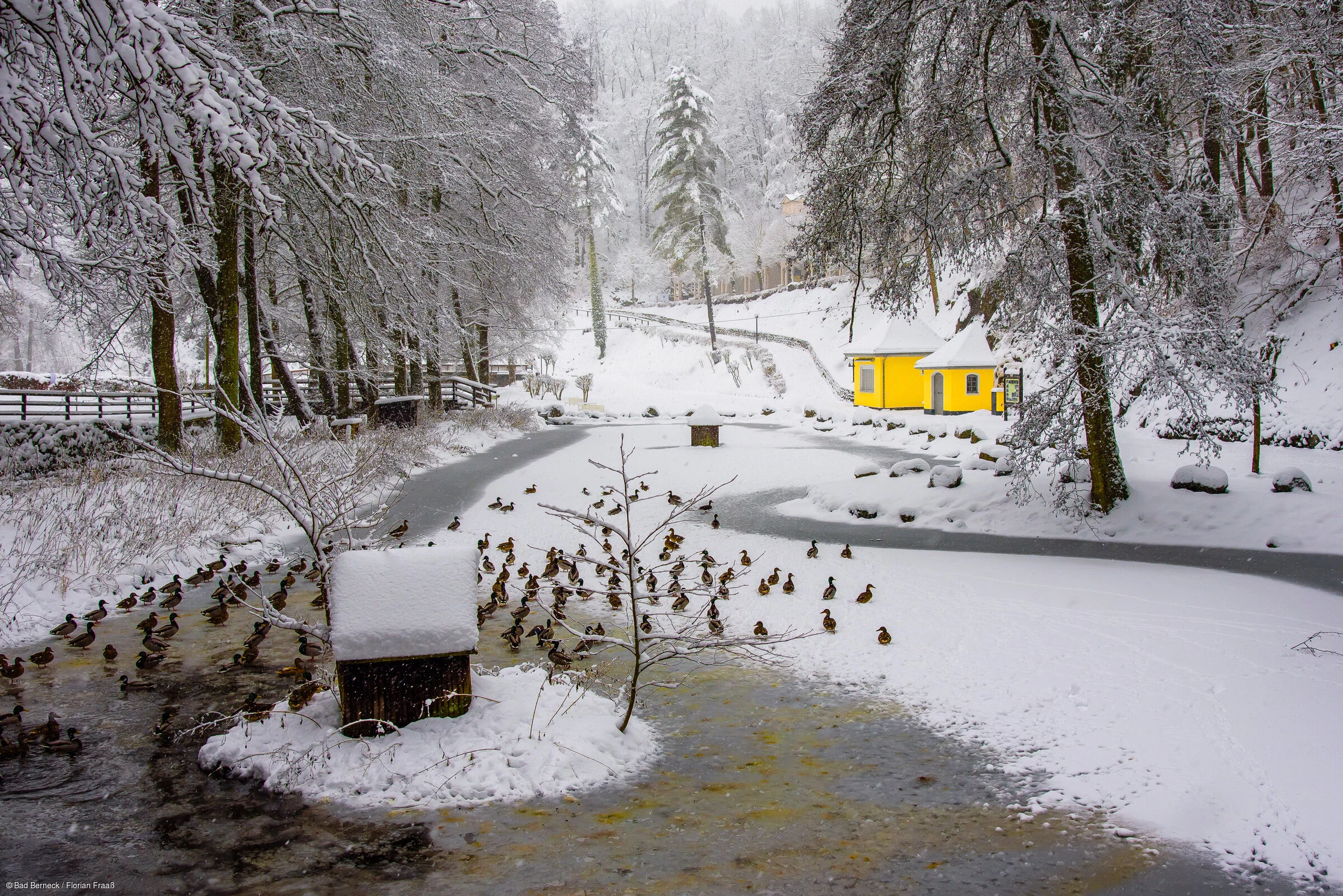 Kurpark im Winter