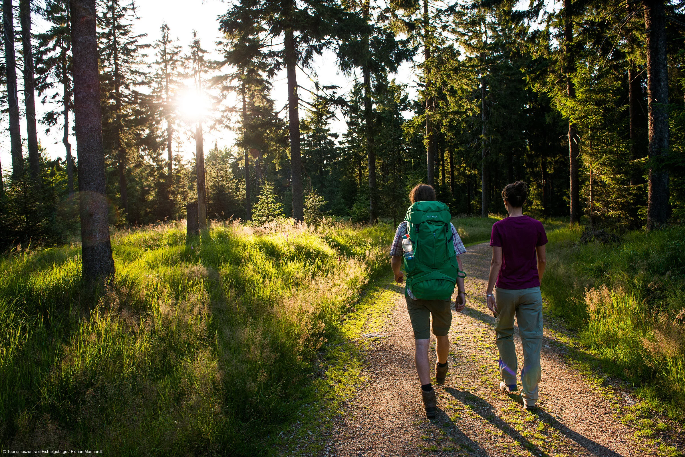 Wandern Wald Sonnenuntergang