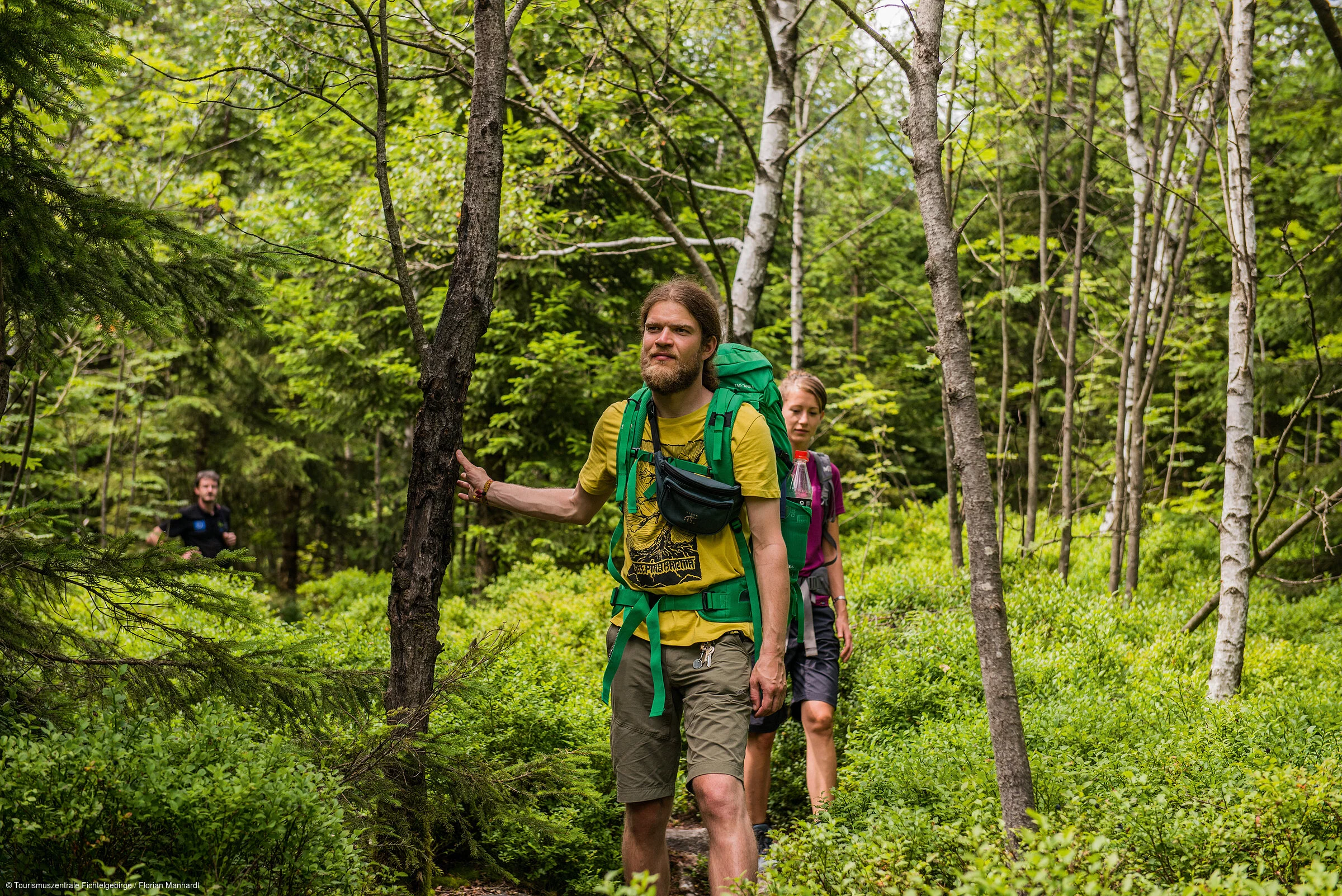 Wandern Wald