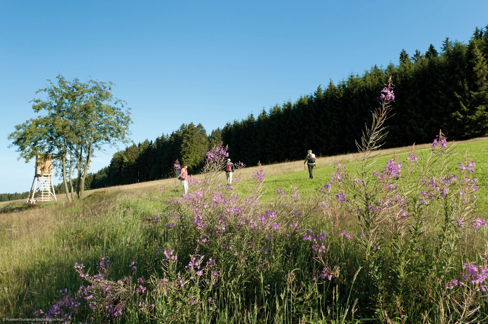 Wandern HoheHaid