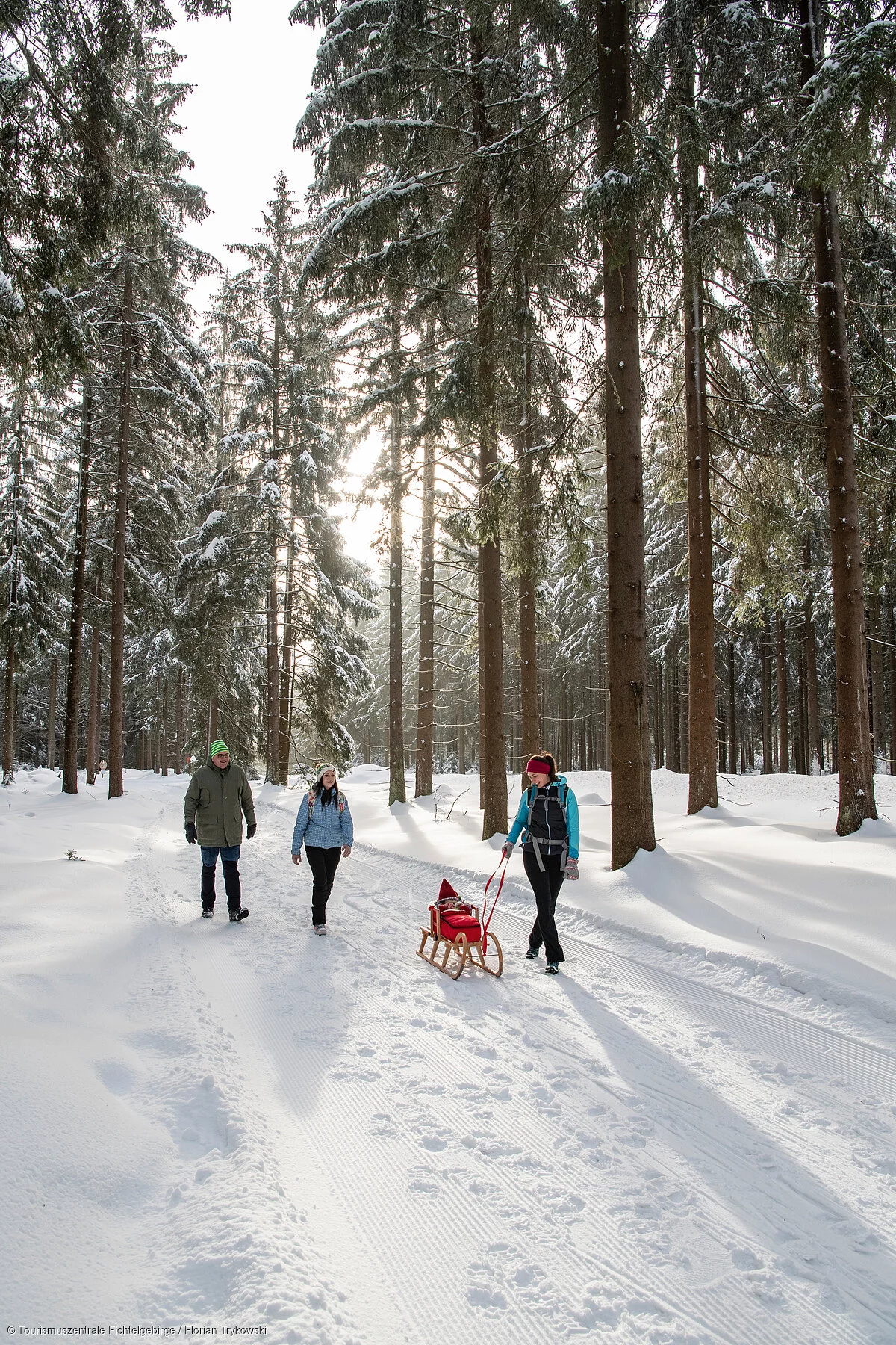Winterwandern Schlitten
