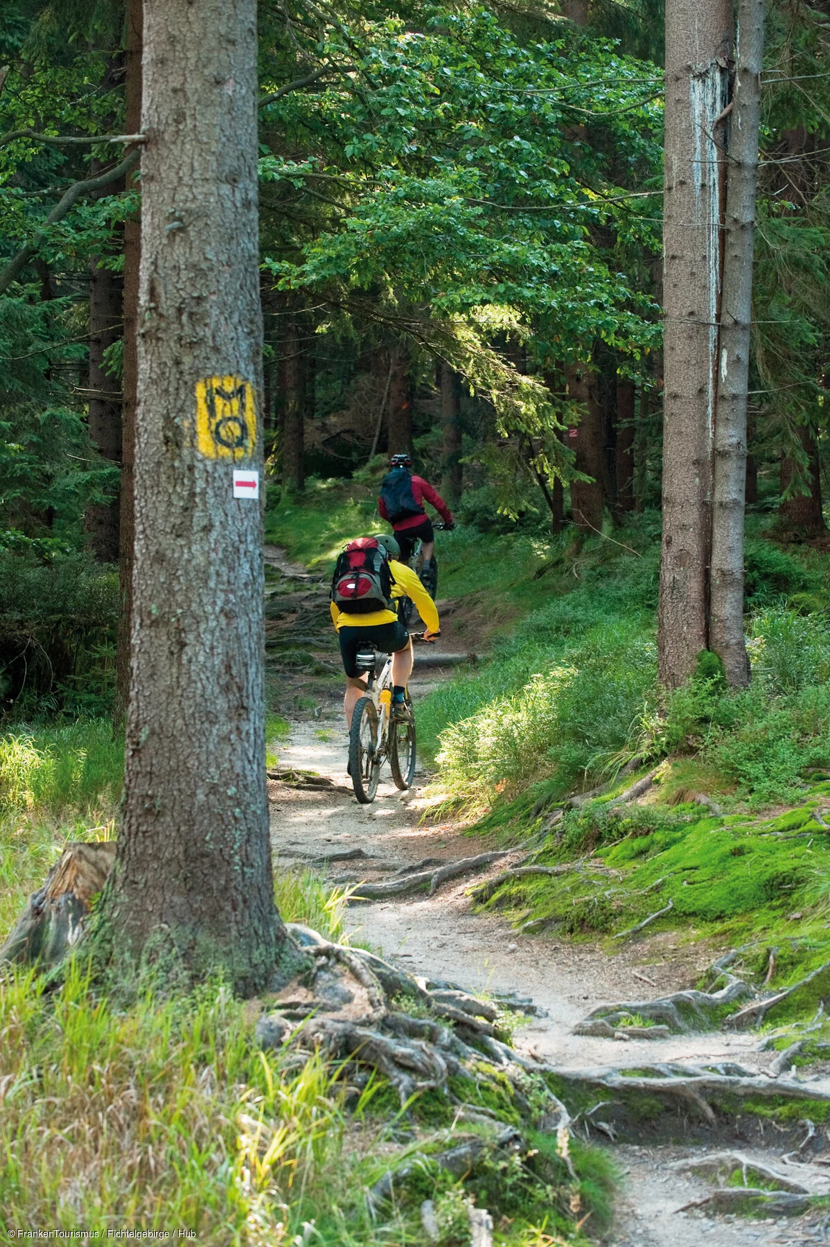 Weißmainquelle am Ochsenkopf