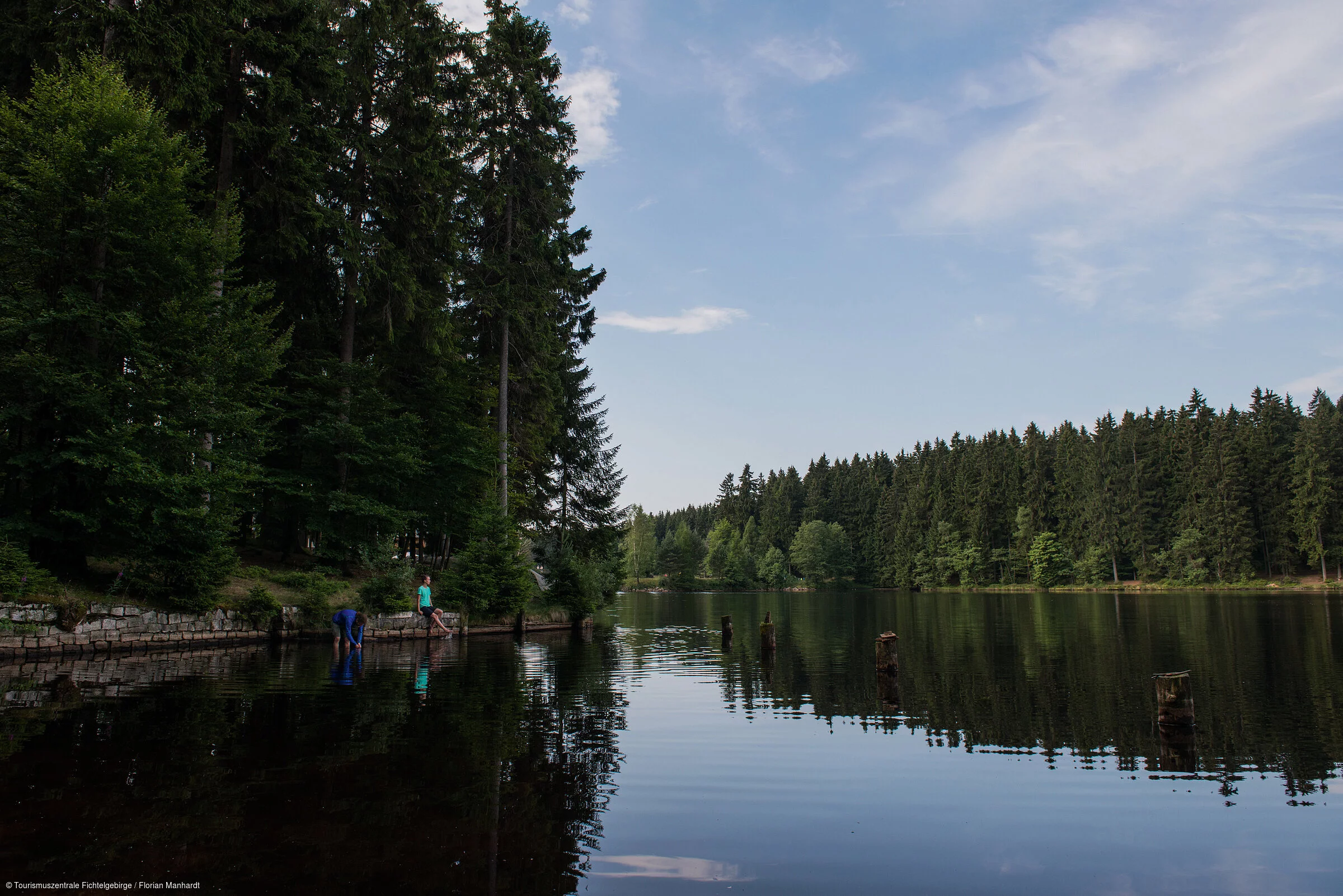 See Wald