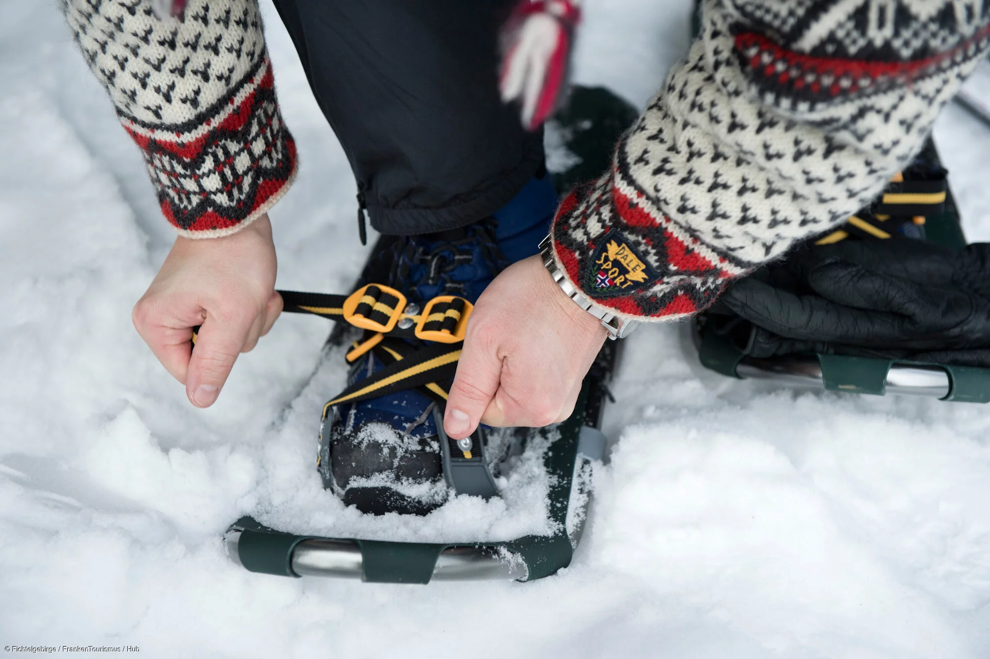 Schneeschuhwandern