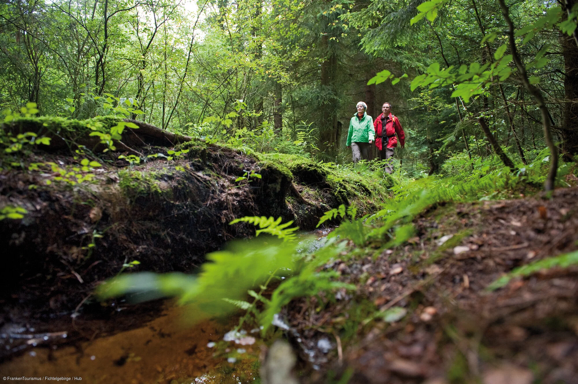 Wandern am Fichtelsee