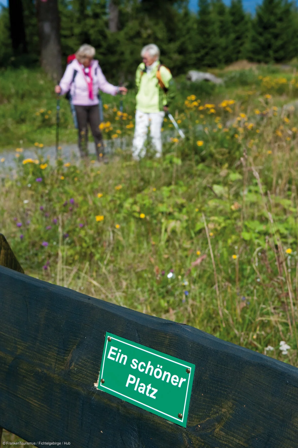 Wandern am Schneeberg