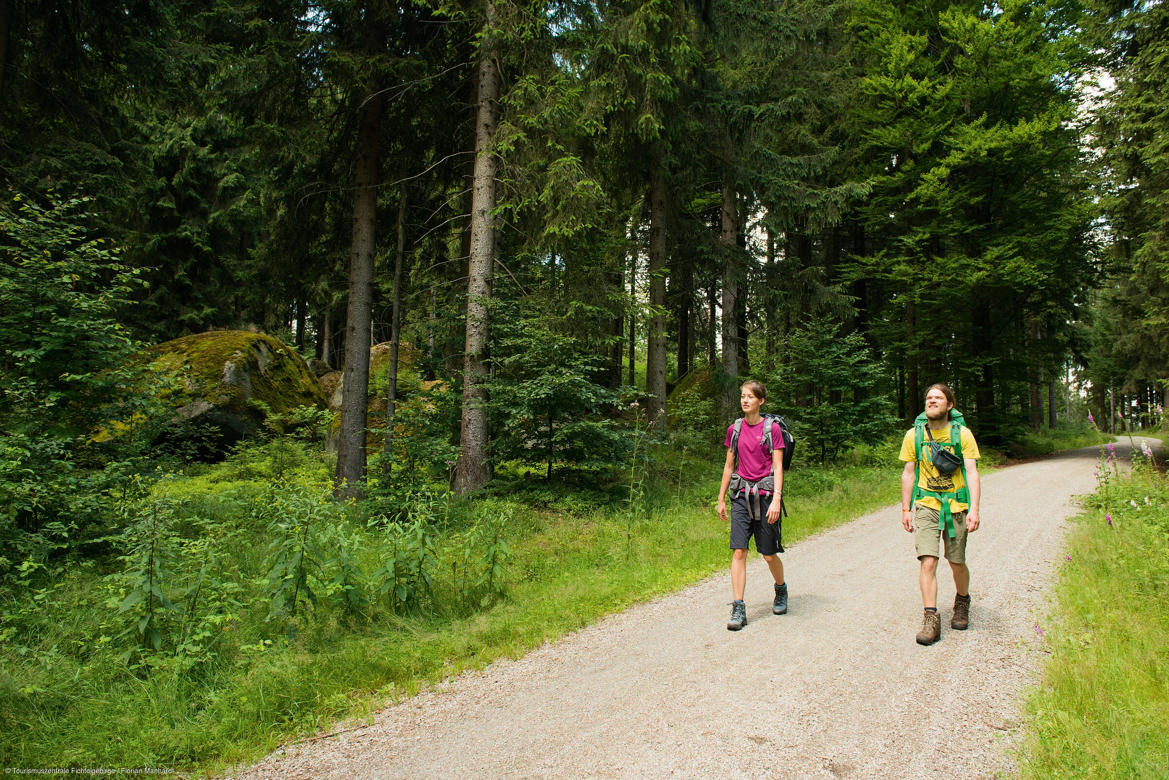 Wandern Wald