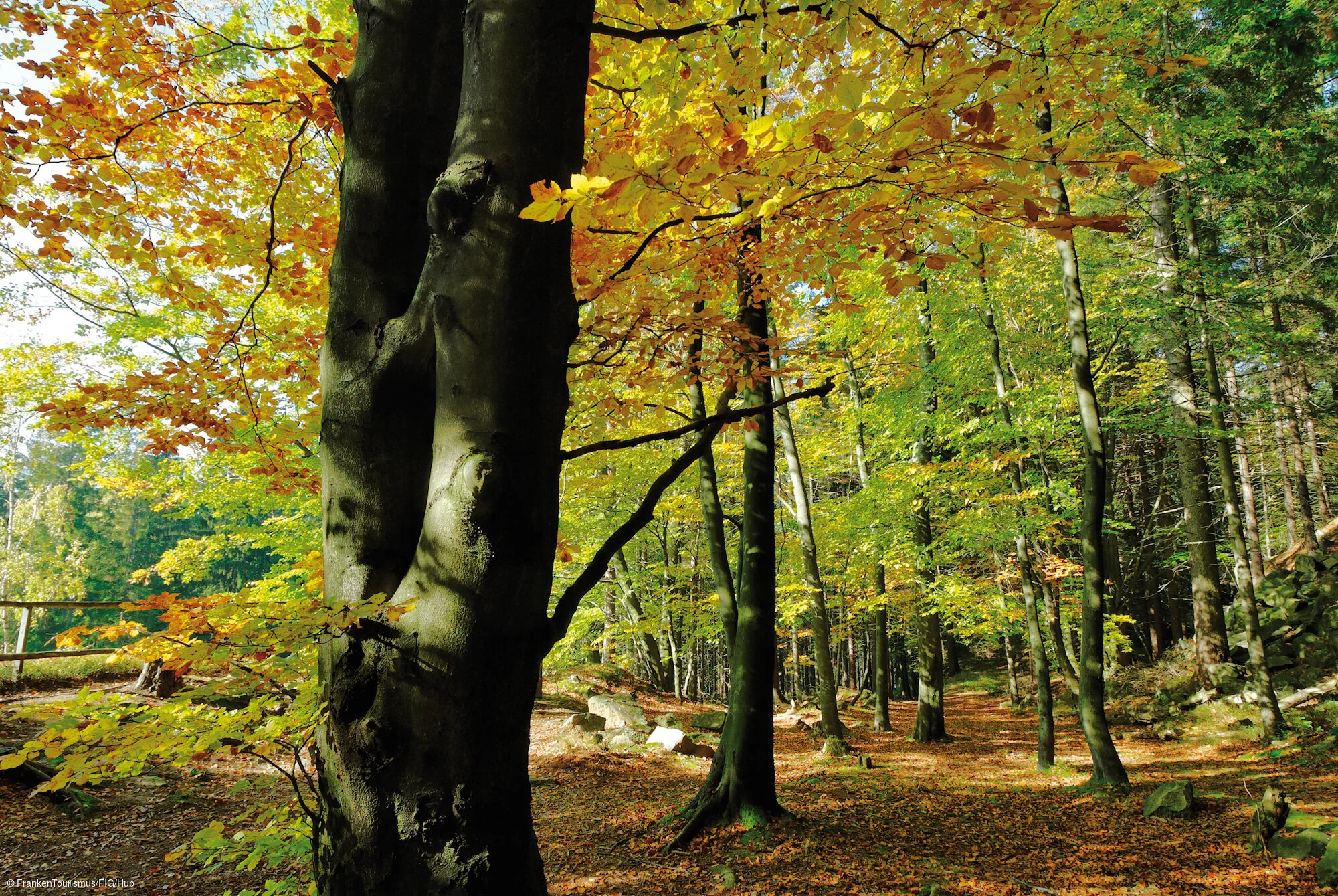 Herbst am Epprechtstein