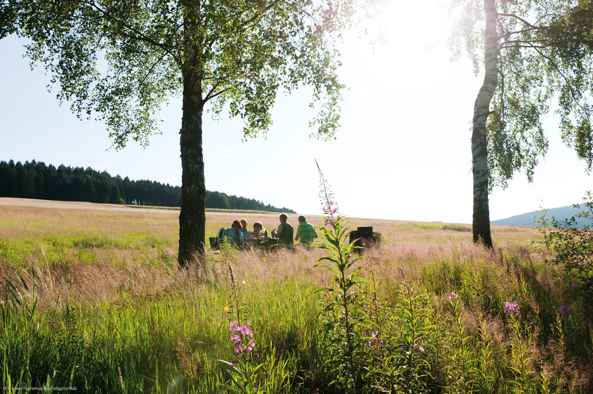 In der Hedlerreuth