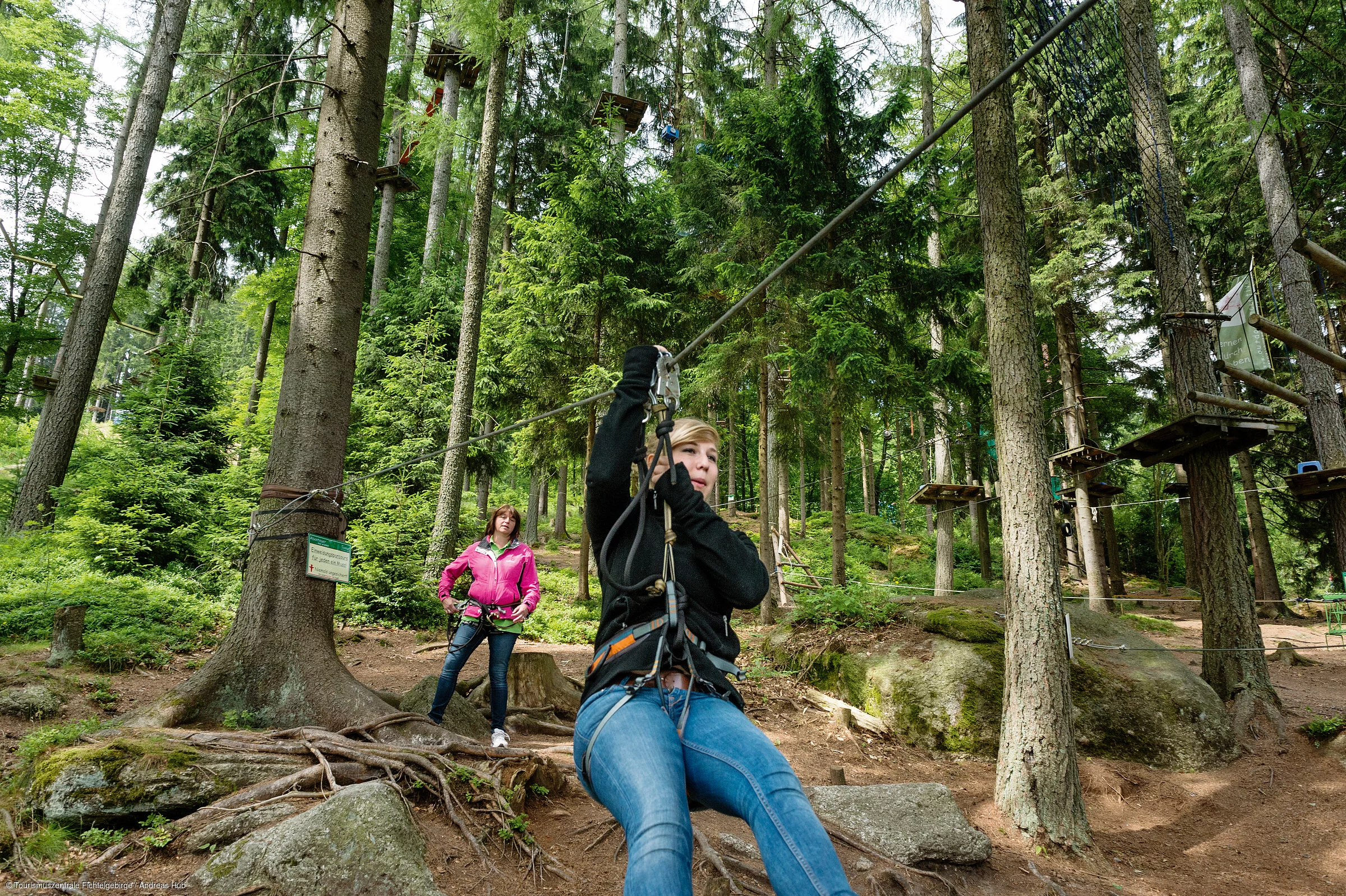 Seilbahn Wald