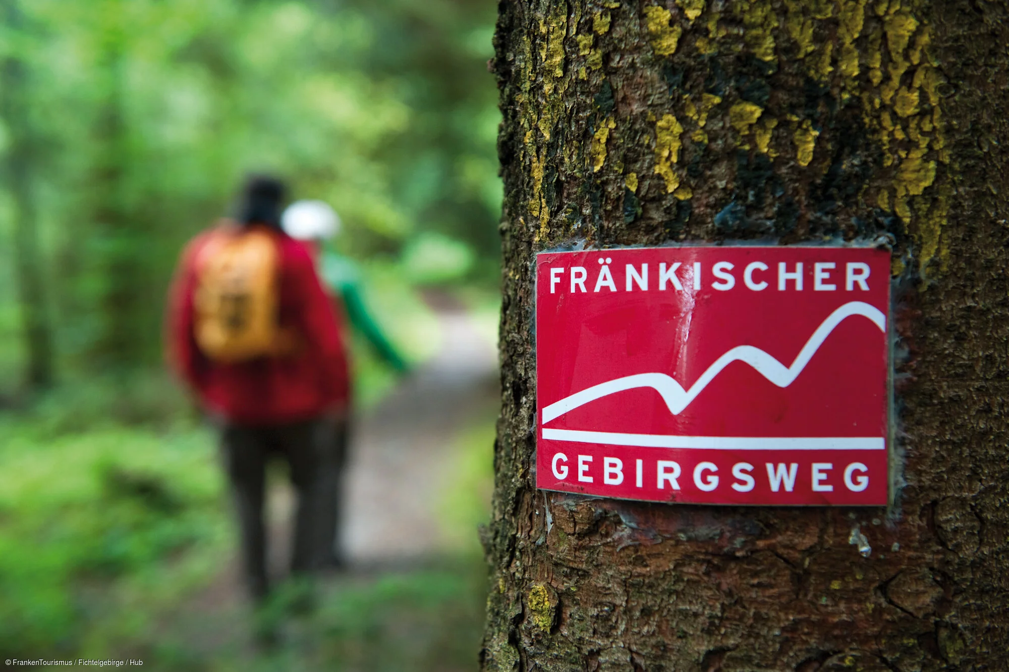 Wandern auf dem Fränkischen Gebirgsweg beim Fichtelsee