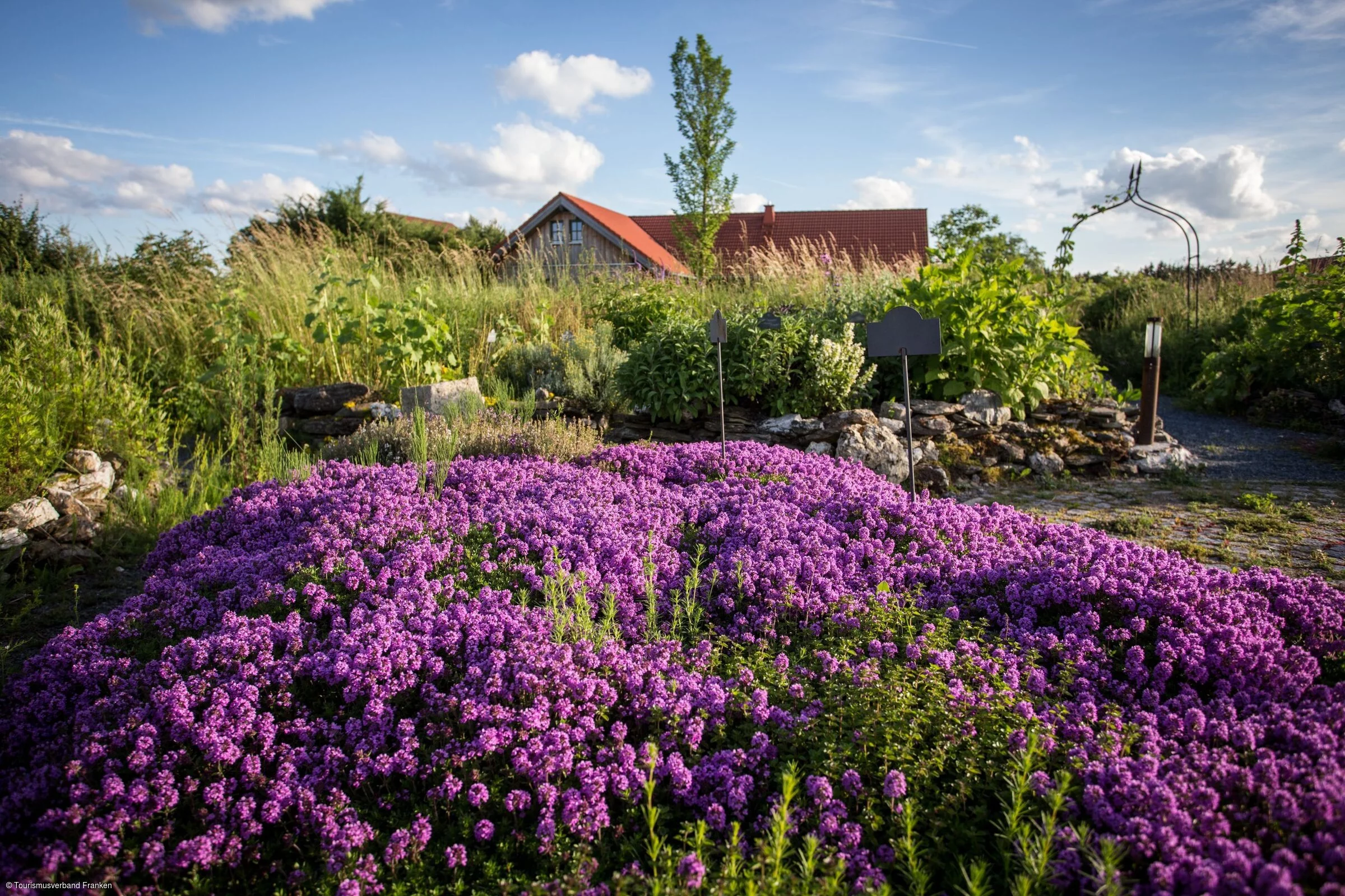 Blüte im Naturhof Fassmannsreuth