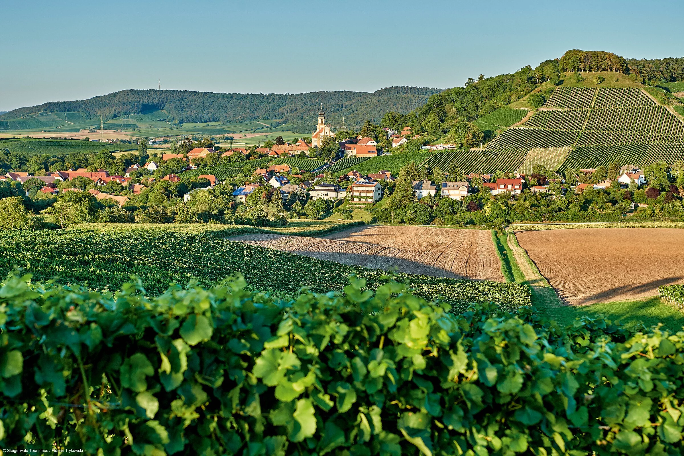 Ausblick auf Castell