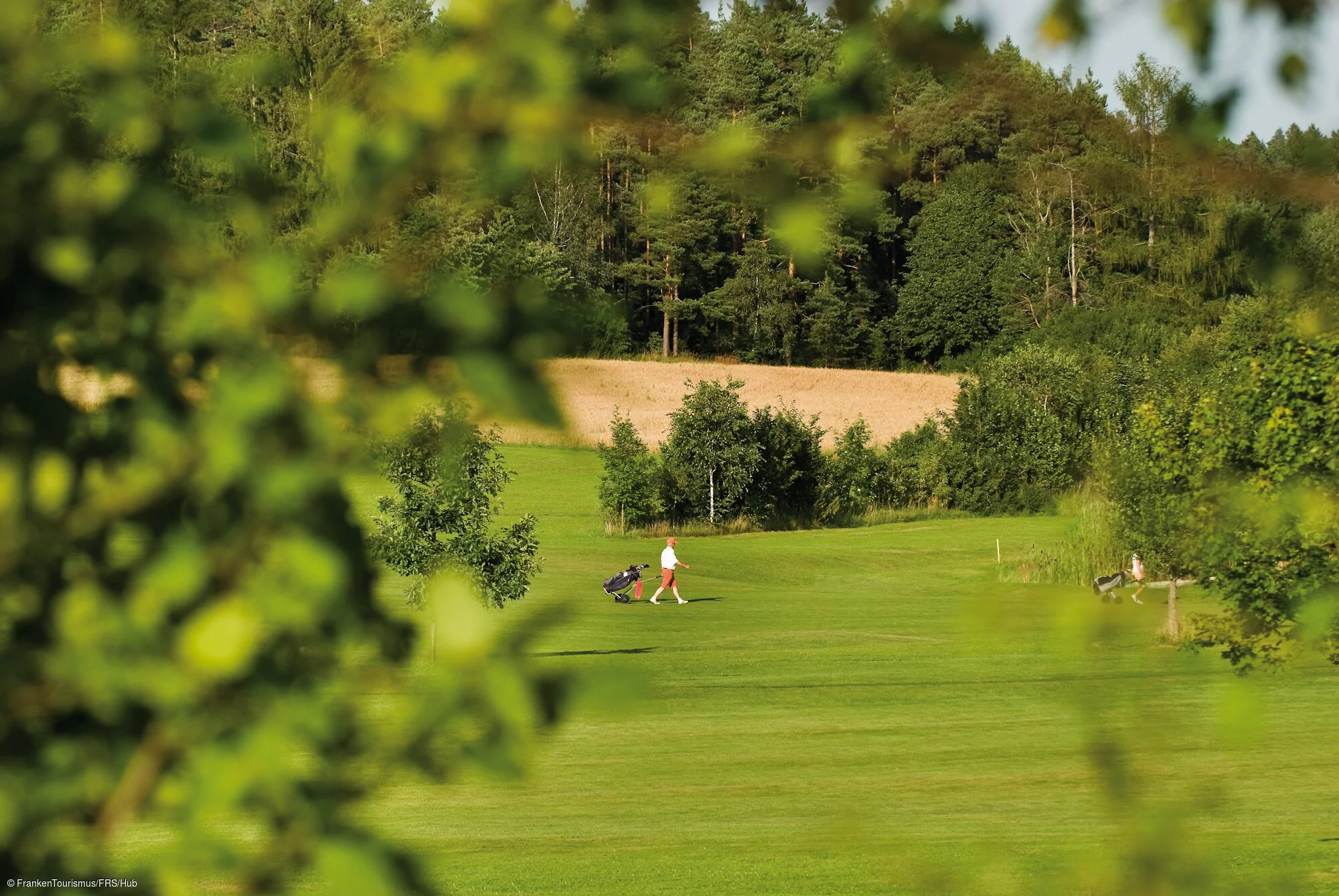 Golfen bei Weidenloh