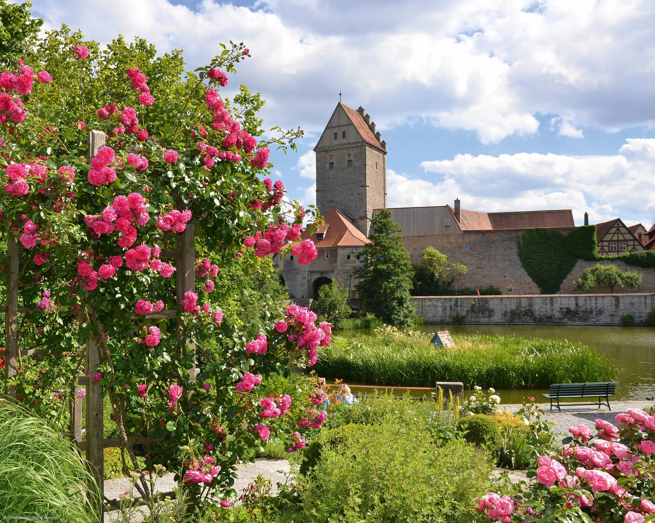 Rothenburger Tor - Blumenpracht