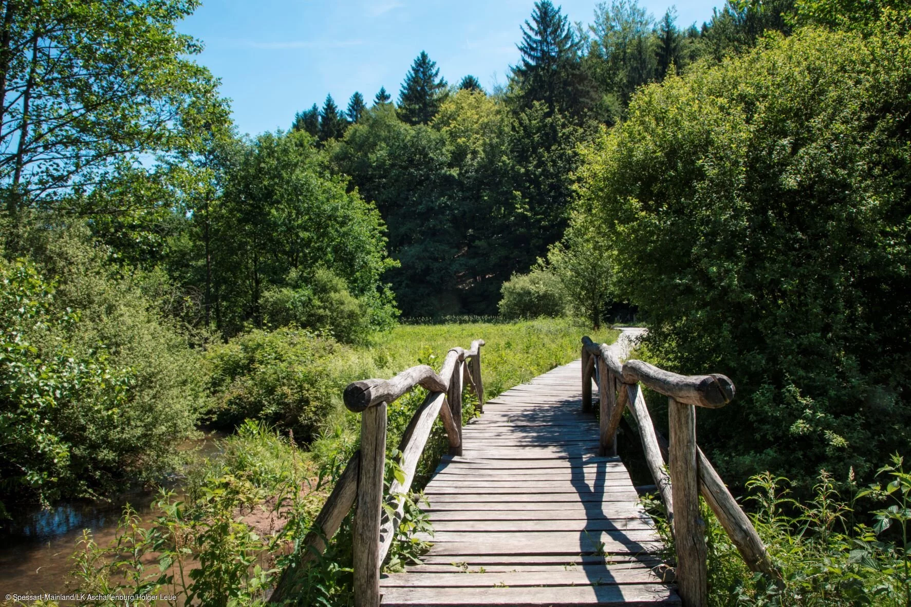 Bohlensteg im Hafenlohrtal