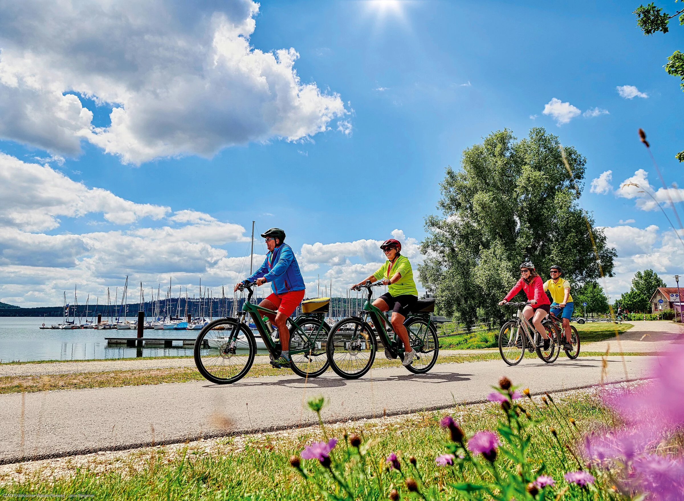 Eine Gruppe von Radfahrer:innen fährt bei schönem Wetter vor einem Gewässer über einen asphaltierten Radweg zwischen Bäumen