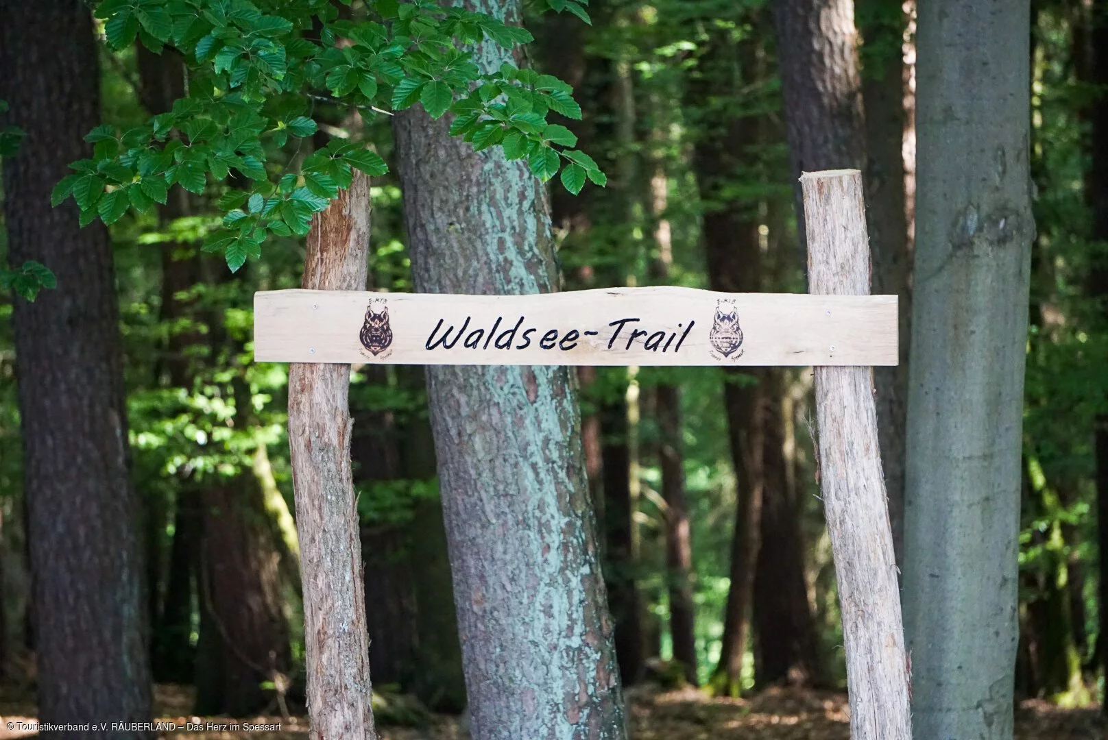 Ein Holzschild mit der Aufschrift "Waldsee-Trail" weißt auf einen Mountainbike-Trail hin