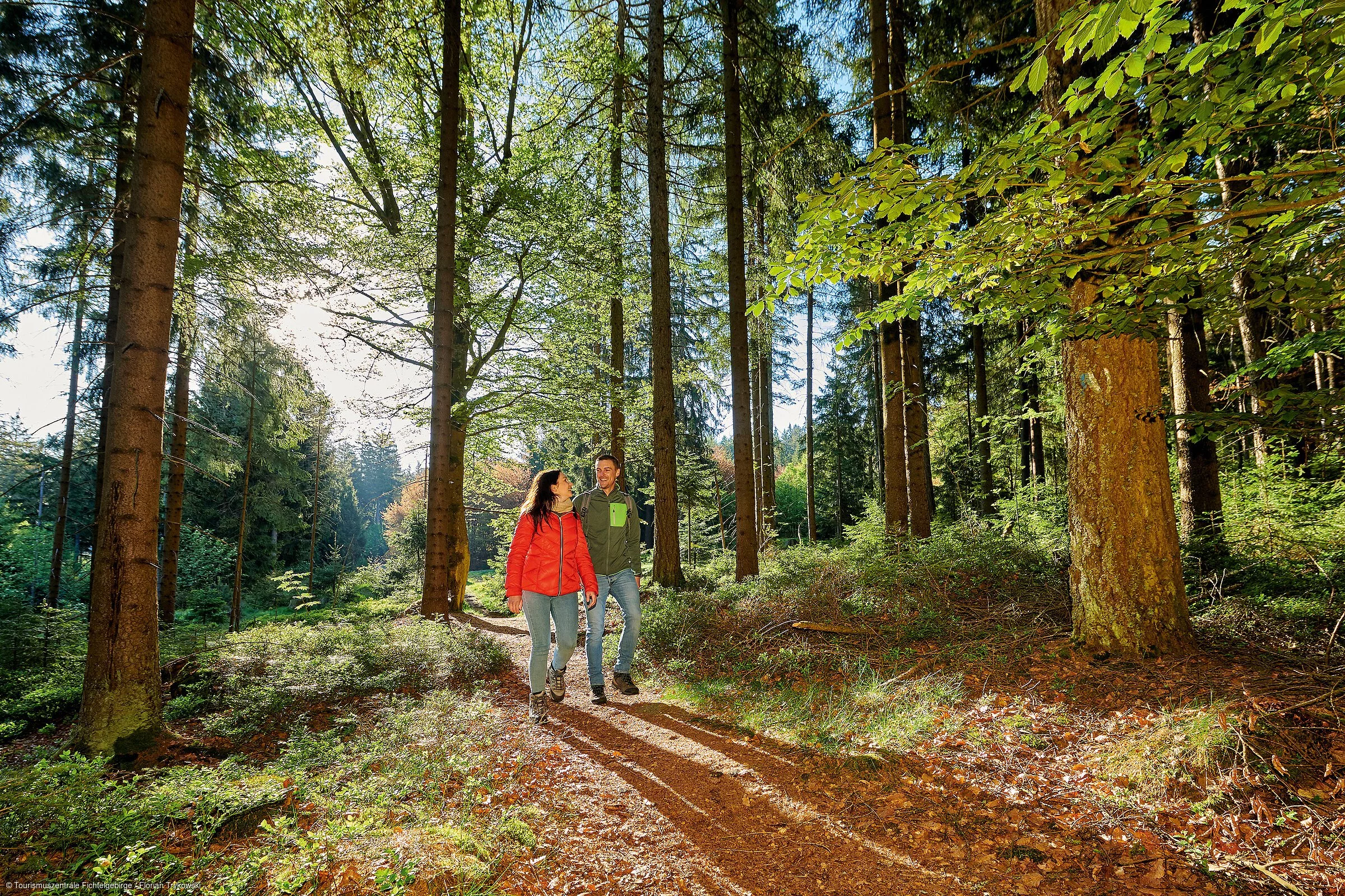Zwei Wanderer machen eine Tour durch einen herbstlichen Laubwald.