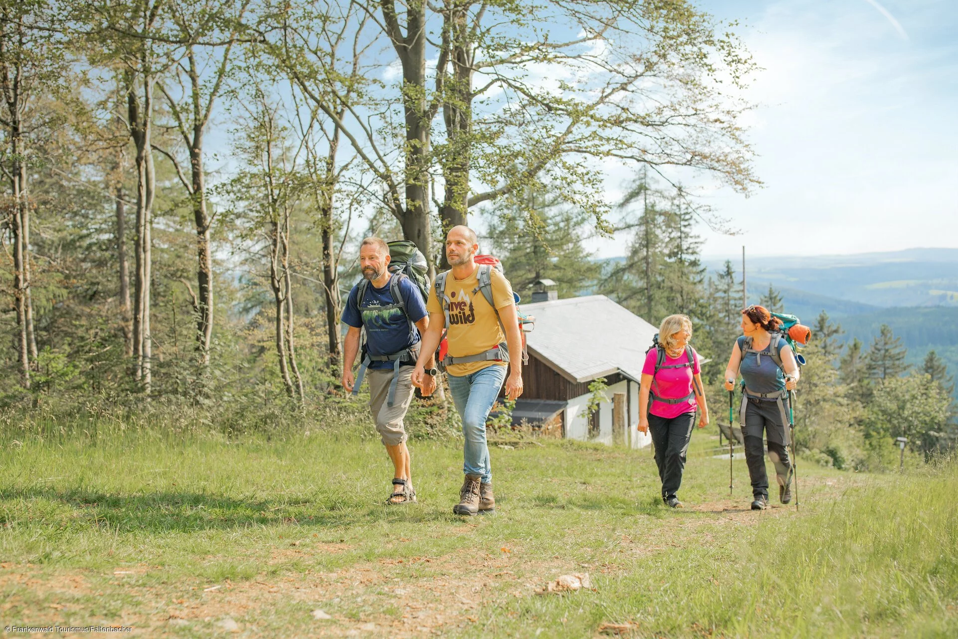 Ein Gruppe Wander:innen geht einen mit Gras bewachsenen Waldweg bergauf.