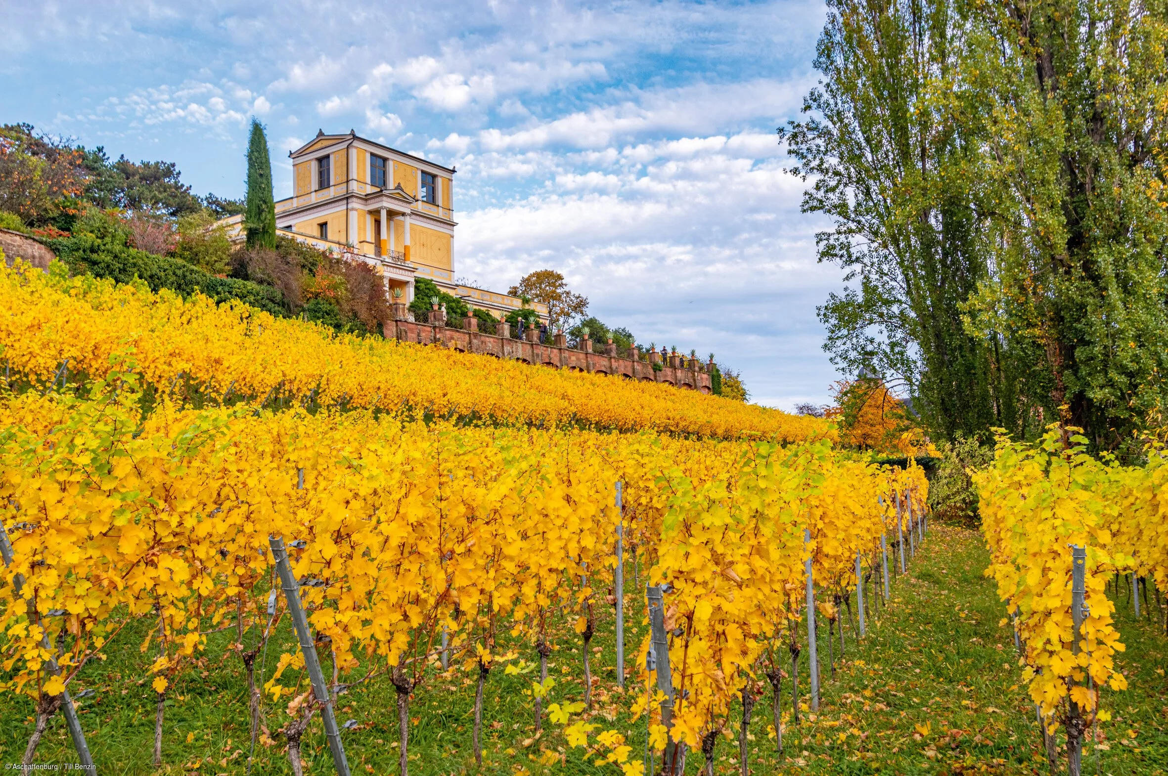 Mainufer Herbst