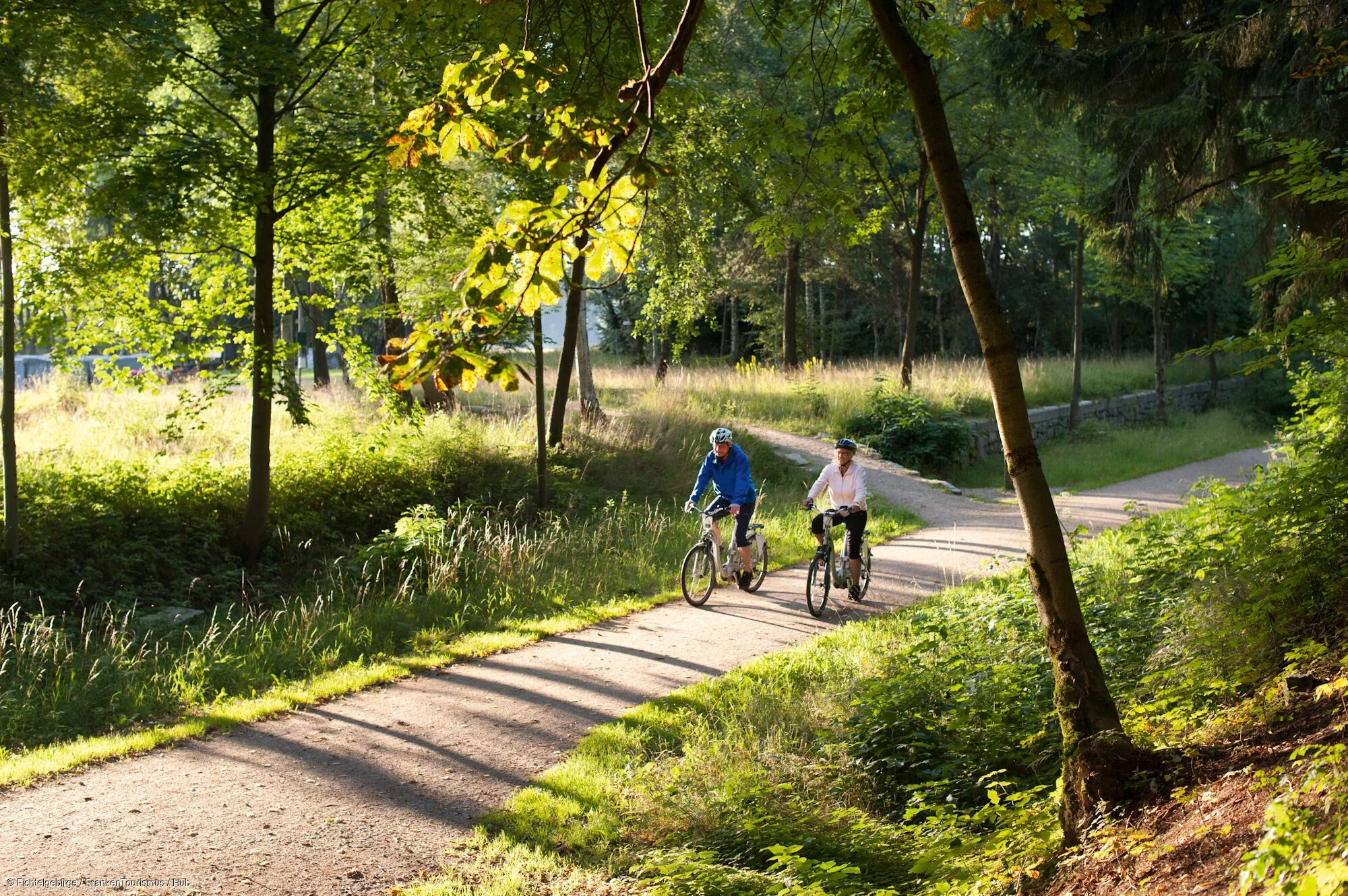 Zwei Radfahrende radeln im Sonnenschein auf einem Radweg zwischen grünen Bäumen