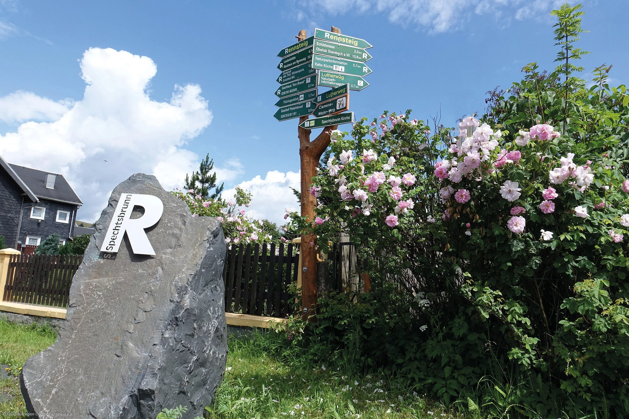Neben einen rosa blühenden Rosenbusch steht ein Wanderwegweiser mit grünen Schildern