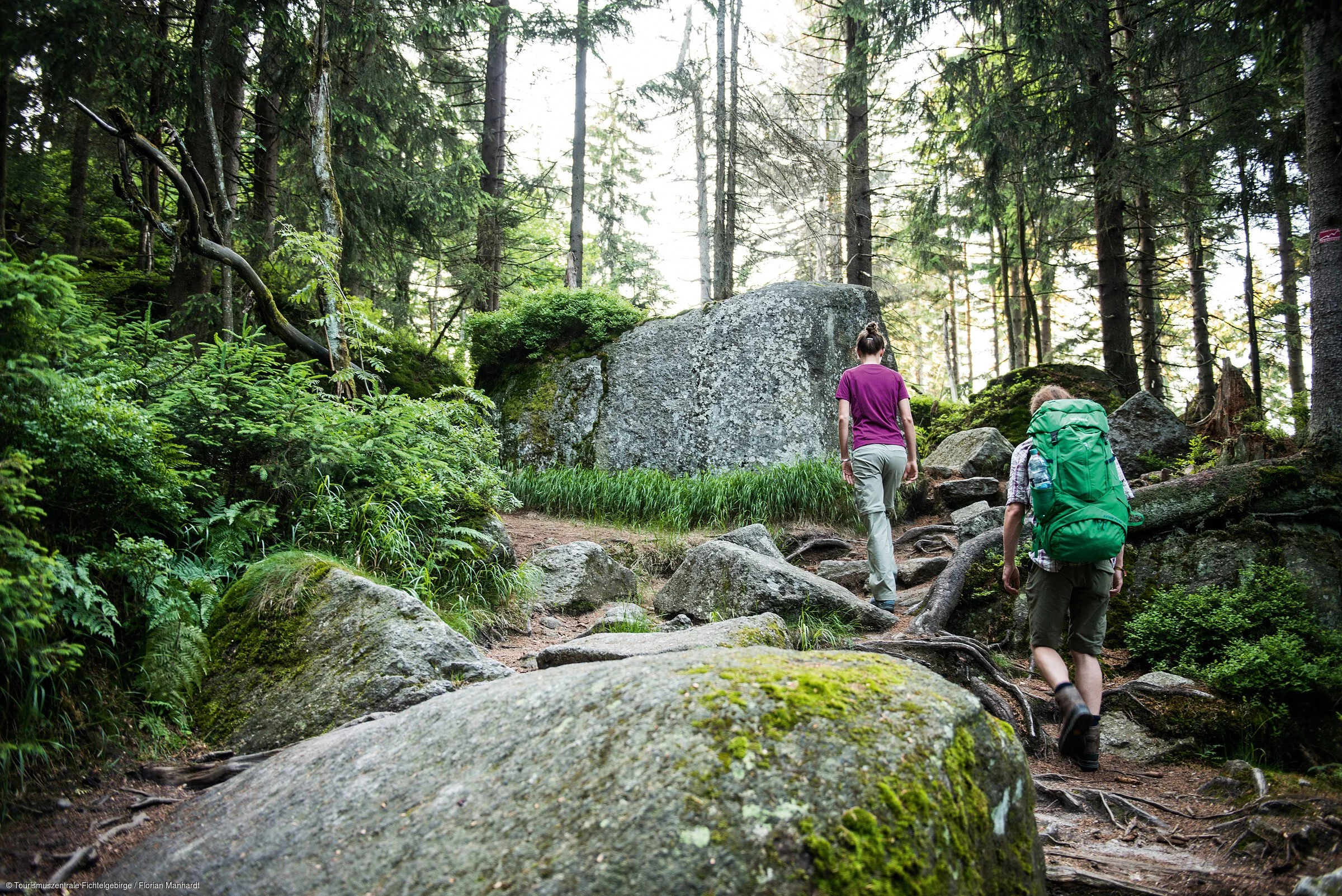 Zwei Wandernde gehen auf einem Pfad durch einen Wald mit Felsen und Wurzeln