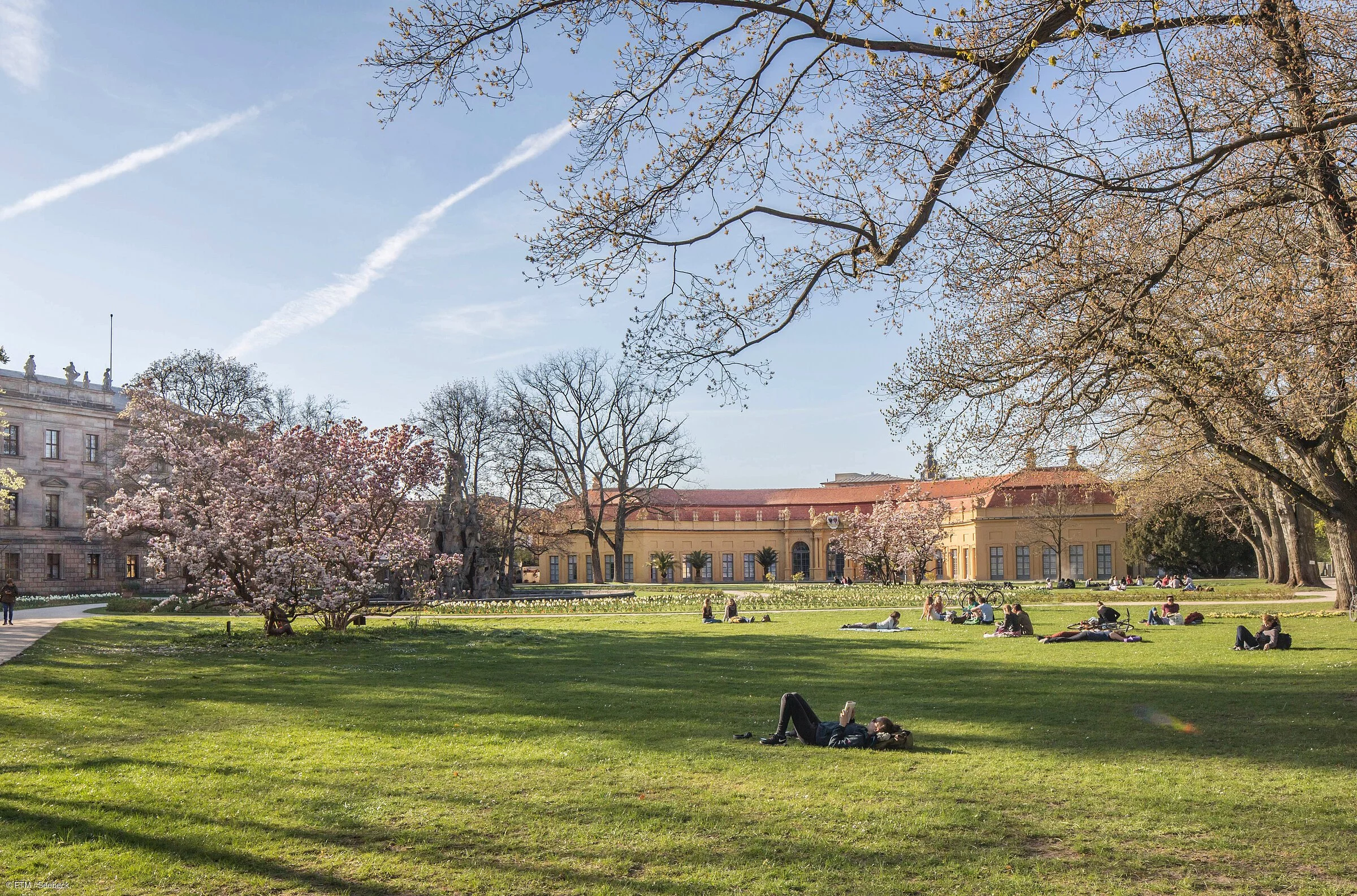 Ein frühlingshafter, weitläufiger Park mit grünen Wiesen und blühenden Bäumen vor einem barocken Schloss