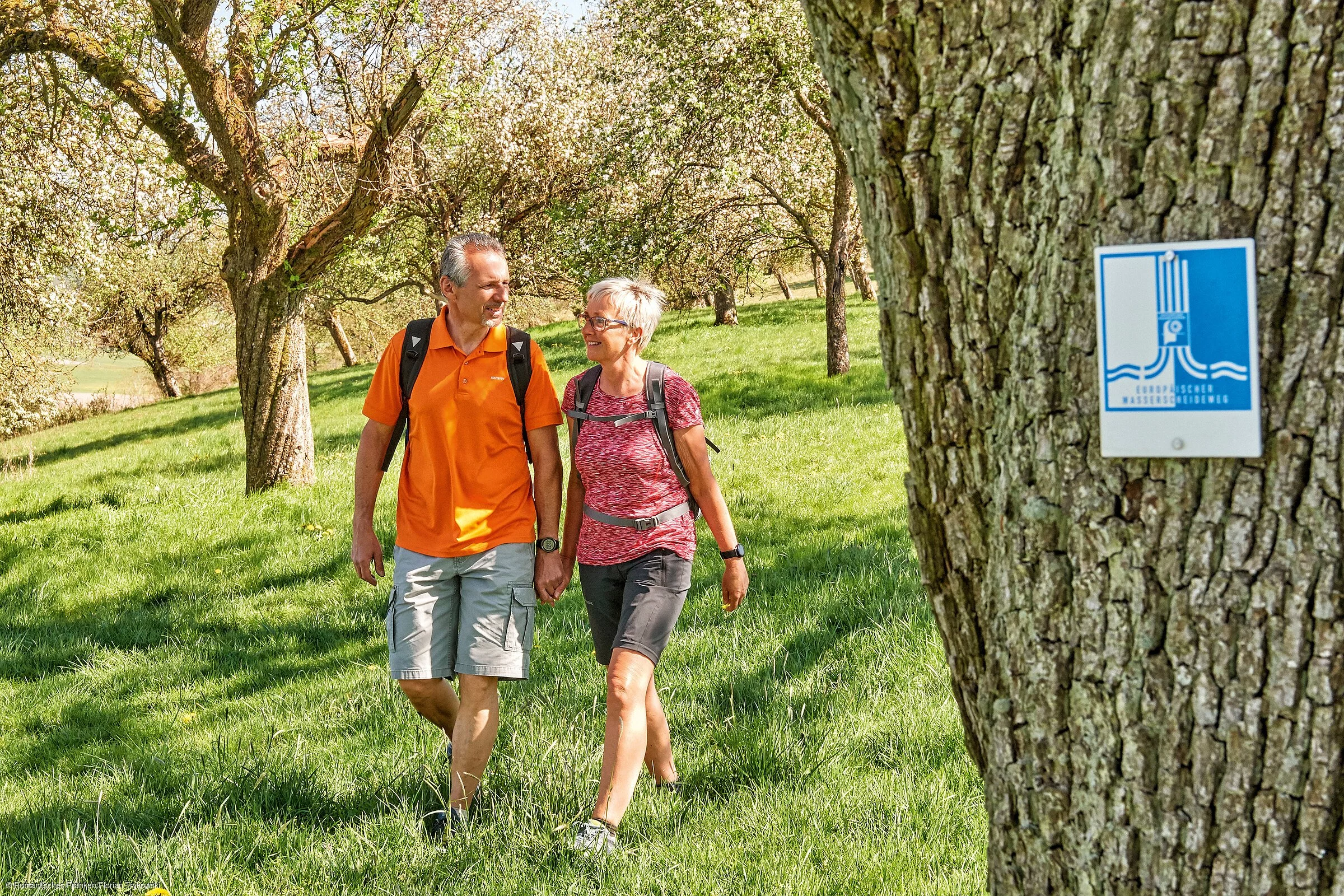 Ein paar wandert über eine blühende Streuobstwiese, im Vordergrund ist ein Baum mit Wandermarkierung