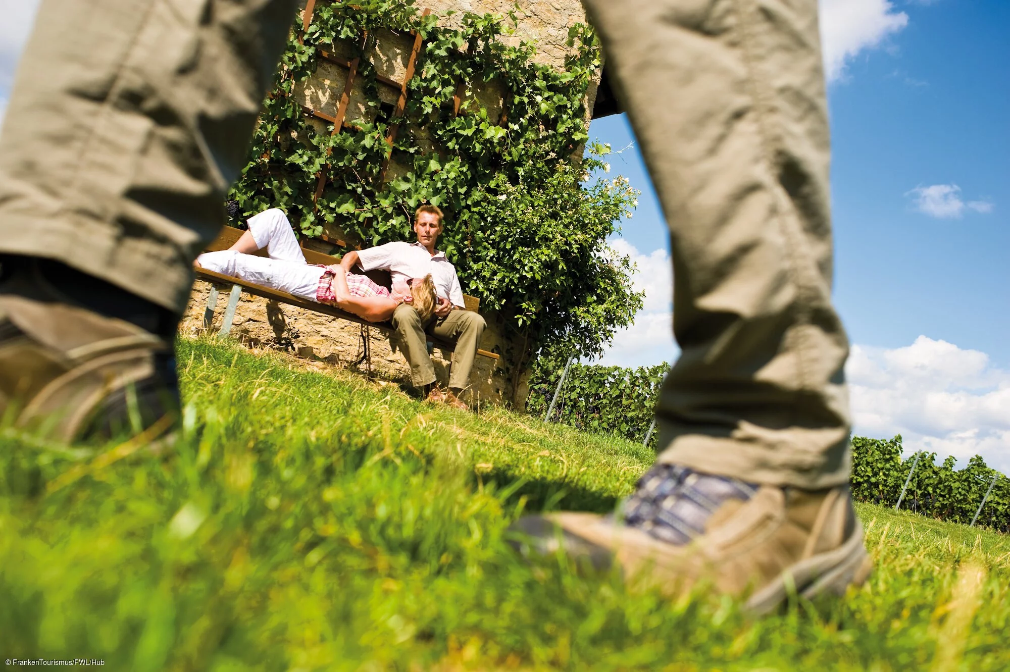 Wandern in den Weinbergen bei Stammheim