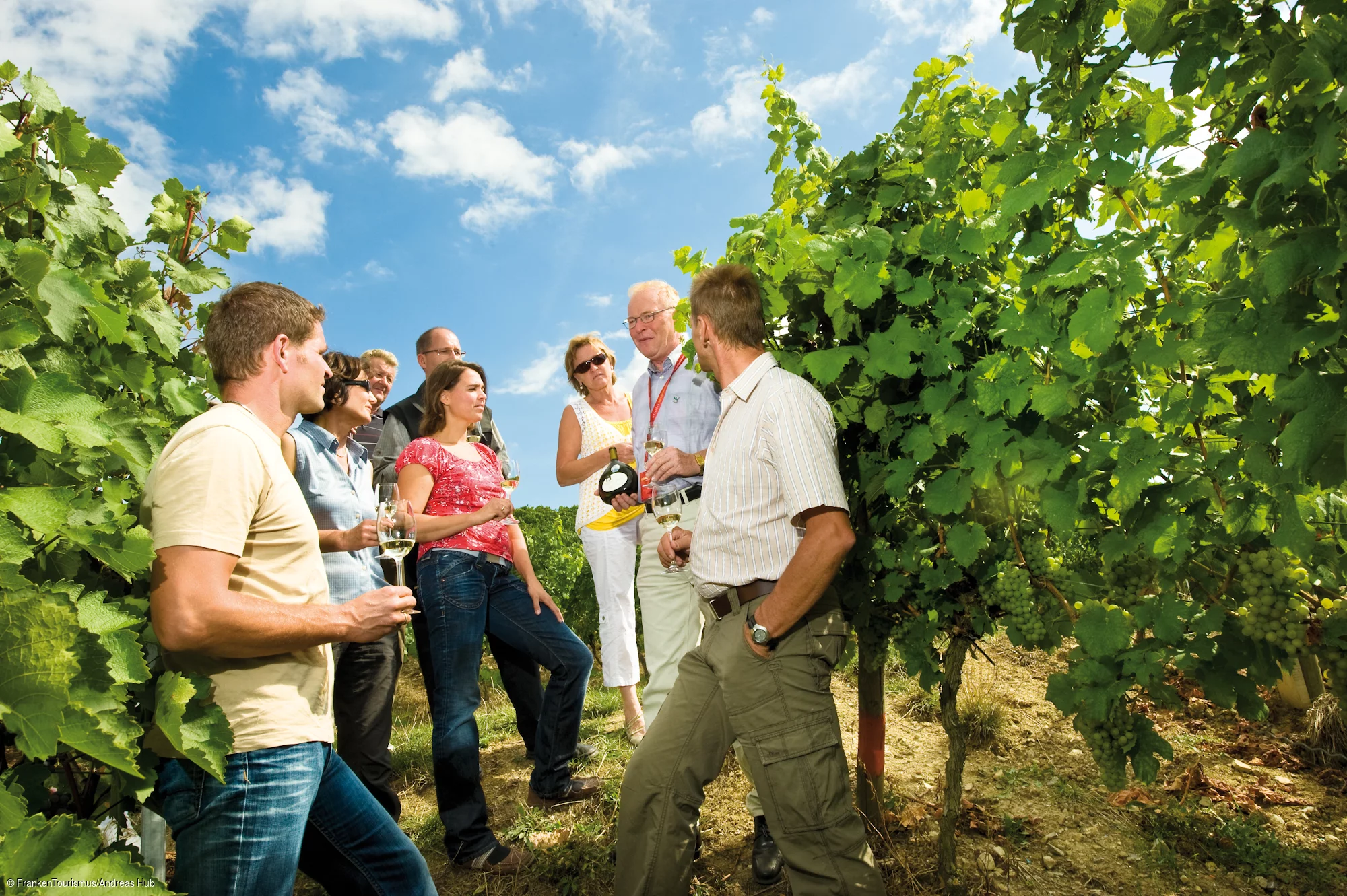 Weinprobe in den Weinbergen bei Stammheim mit Weindozent