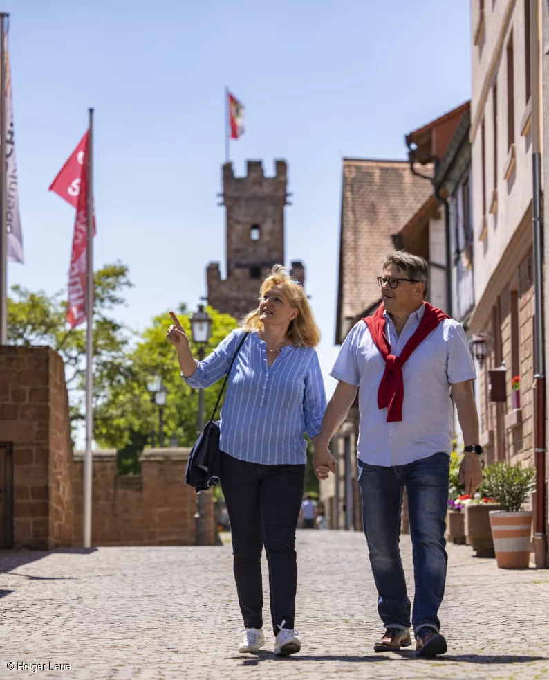 Obernburg am Main, Spessart-Mainland, Franconia, Bavaria, Germany