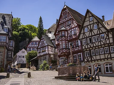 Miltenberg, Spessart-Mainland, Franconia, Bavaria, Germany