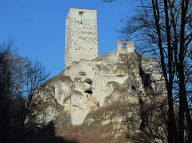 Alte Burgruine mit hohem, quadratischem Turm auf einem Felsen, umgeben von Bäumen.