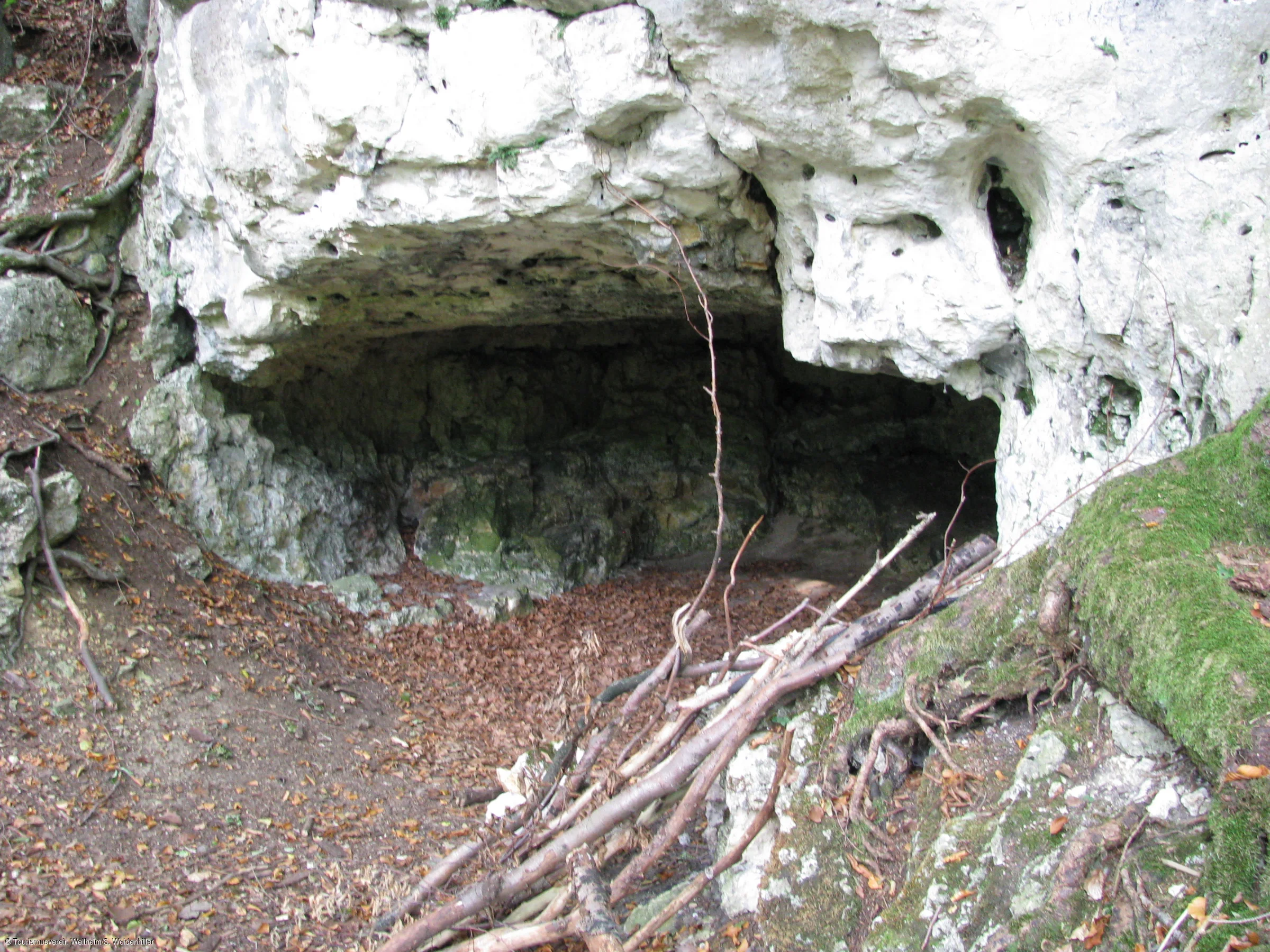 Eingang einer kleinen Höhle in einem bewaldeten Gebiet, umgeben von Felsen und Laub.