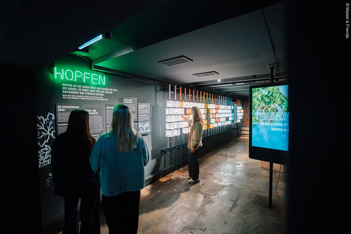 Personen betrachten eine Ausstellung über Hopfen in einem dunklen Raum mit beleuchteten Tafeln und einem Bildschirm.